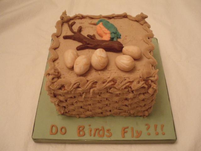 Do Birds Fly?!